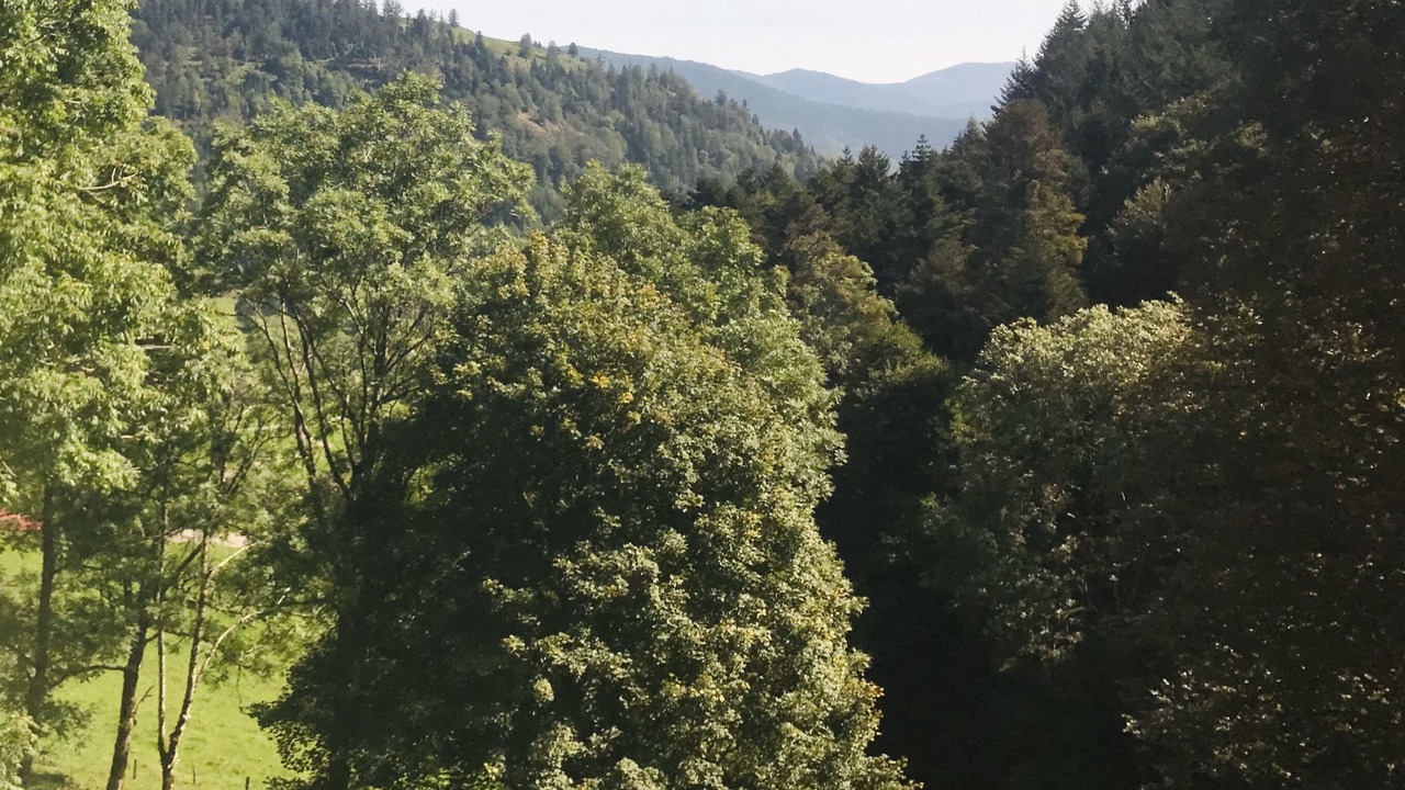 Photo of Outdoor in Fellering