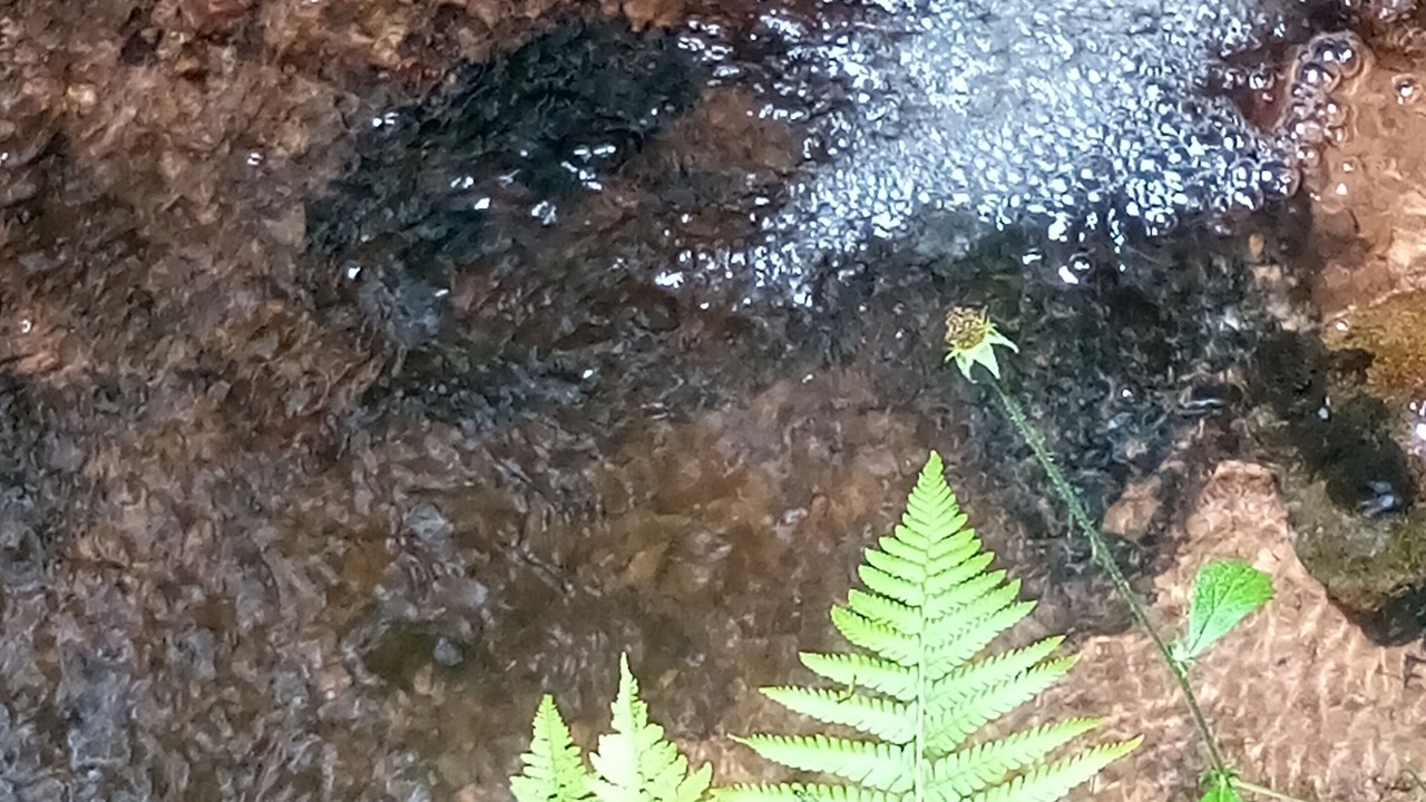 Photo of Others in Moux-en-Morvan