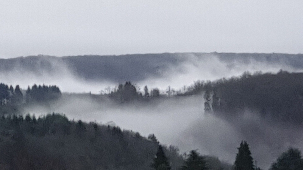 Photo of Others in Moux-en-Morvan