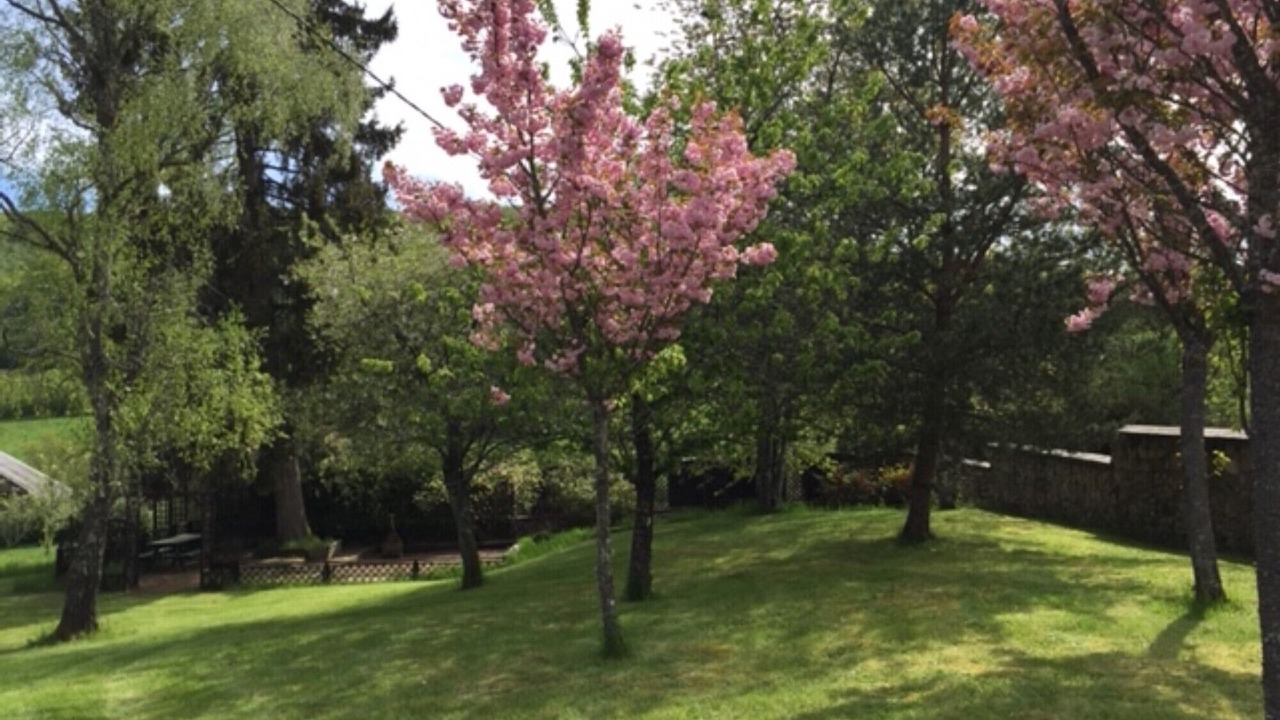 Photo of Outdoor in Cussy-en-Morvan