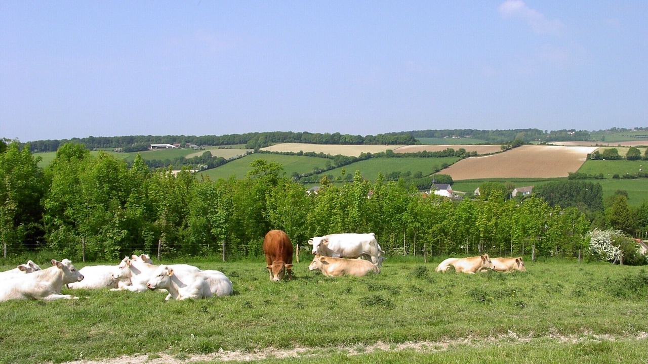Photo of Outdoor in Bezinghem