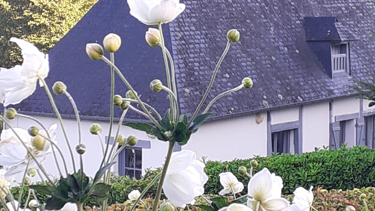 Photo of Outdoor in Saint-Germain-des-Essourts