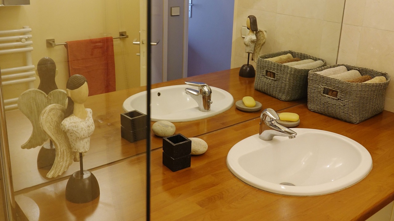 Photo of Bathroom in Plaisance