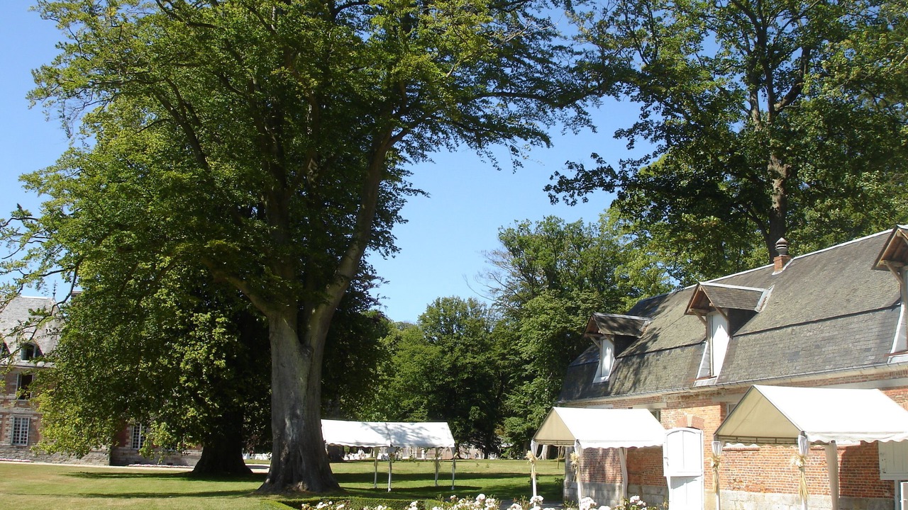 Photo of Outdoor in Paluel
