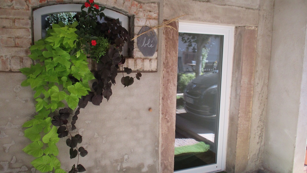 Photo of Outdoor in Epfig