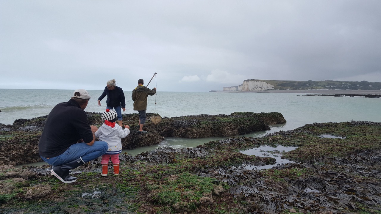 Photo of Others in Veulettes-sur-Mer