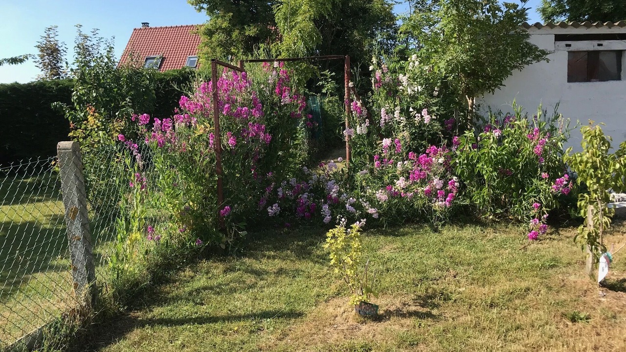 Photo of Outdoor in Conchil-le-Temple