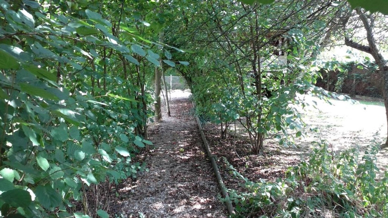 Photo of Outdoor in Boulleville