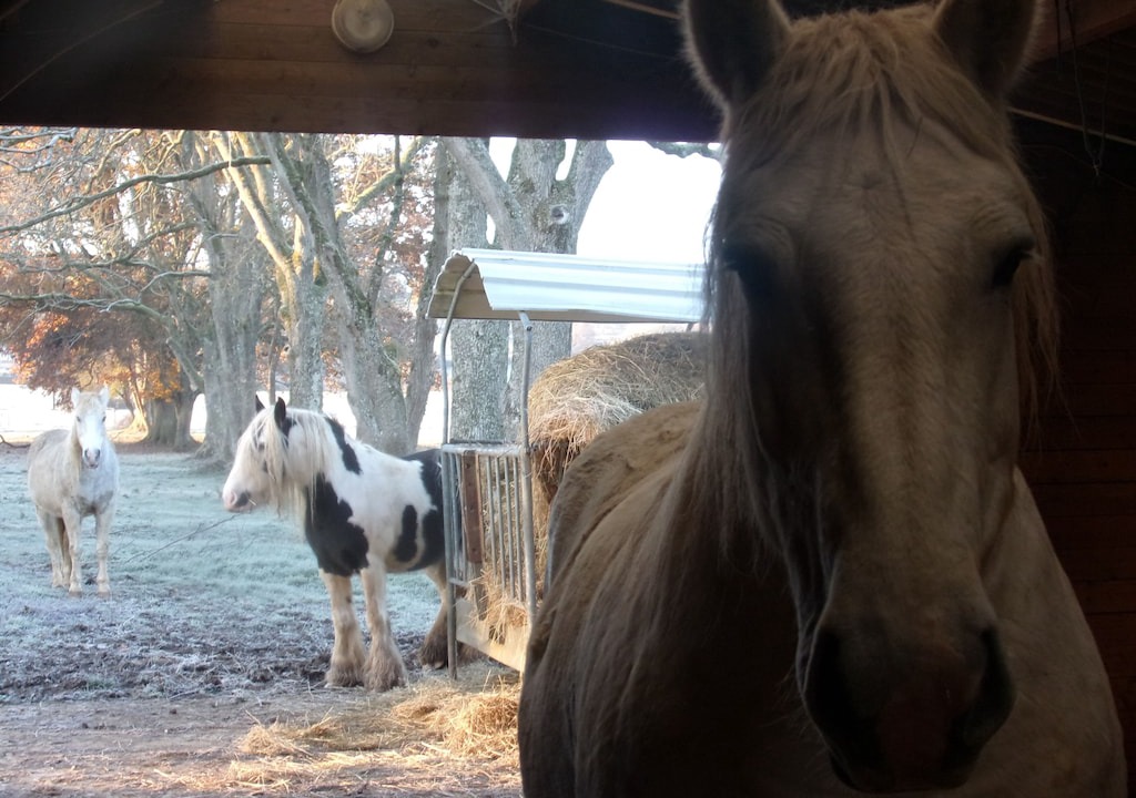 Photo of Others in Haudrecy