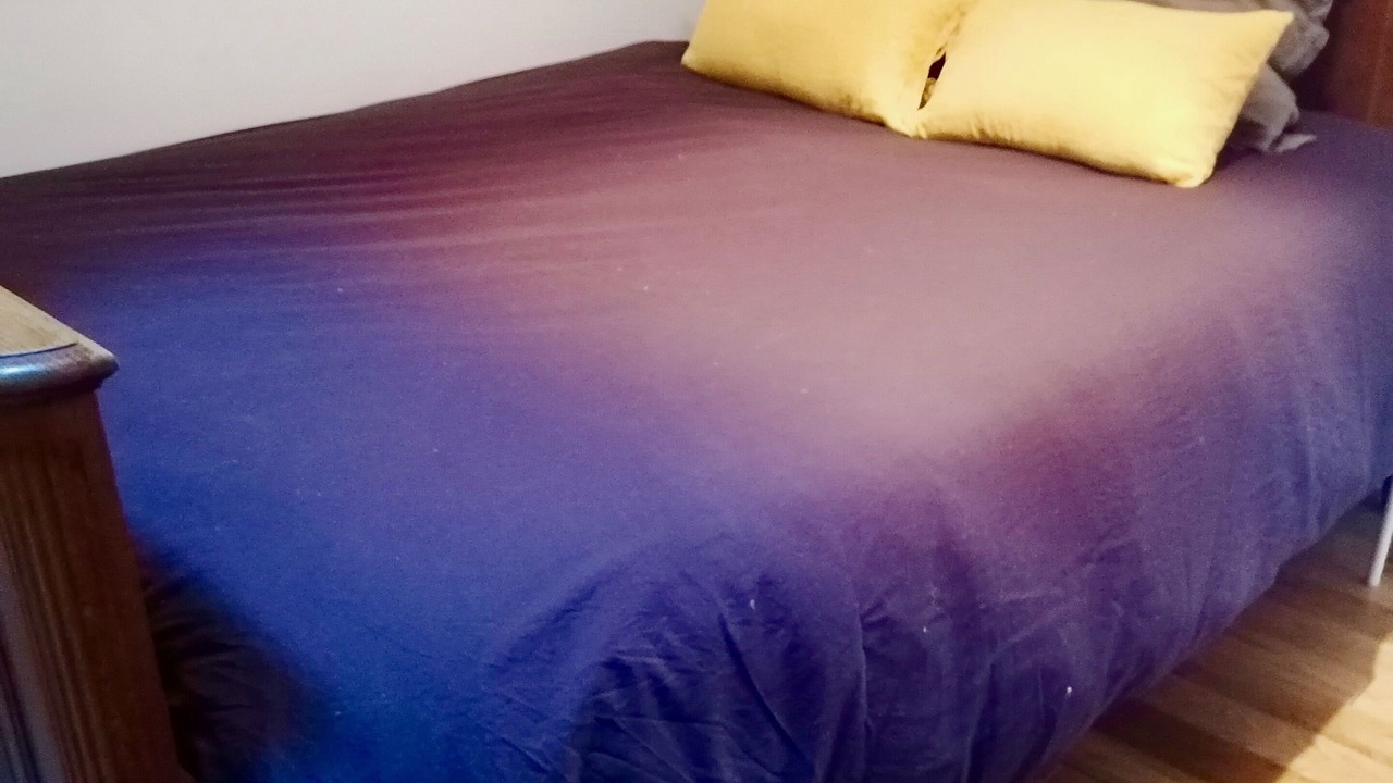 Photo of Bedroom in Villiers-sur-Tholon