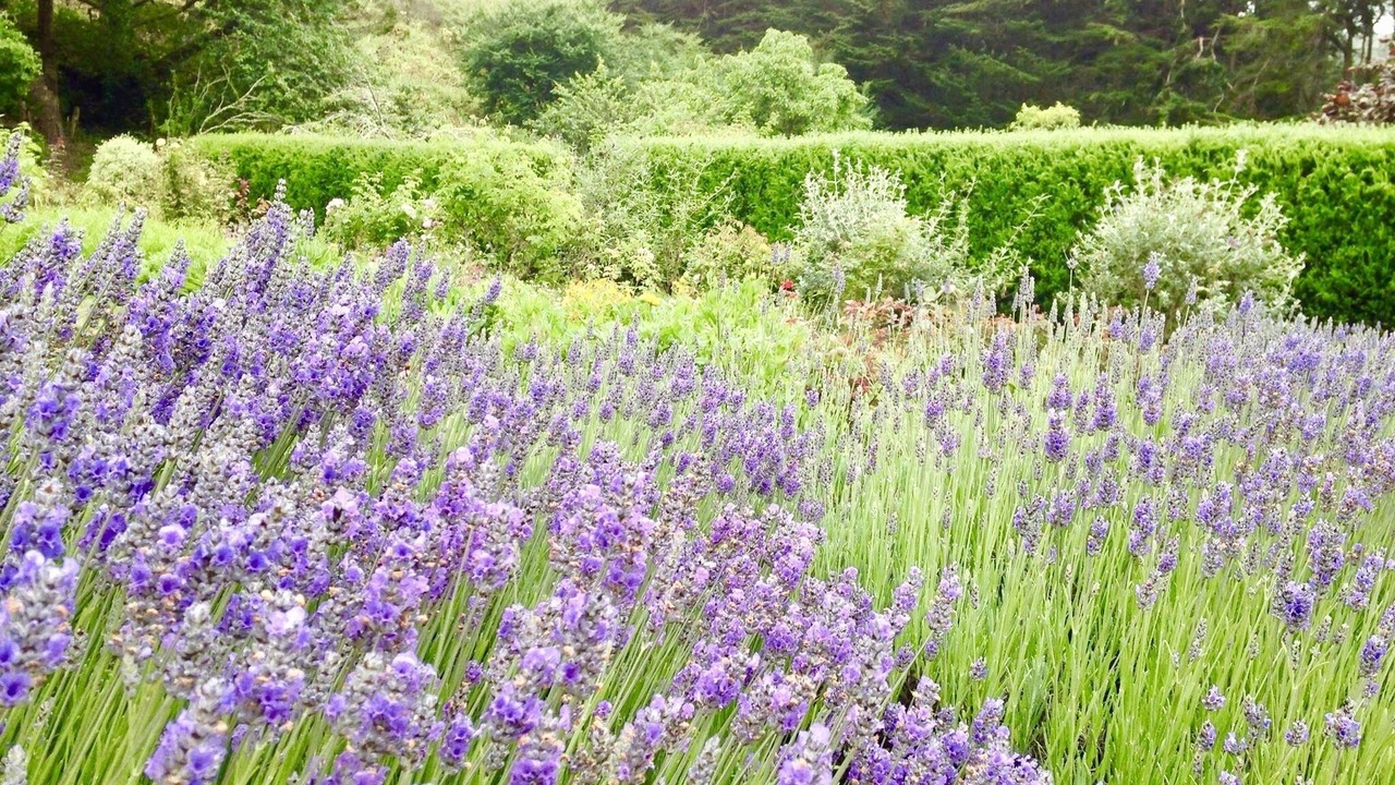 Photo of Outdoor in Villiers-sur-Tholon