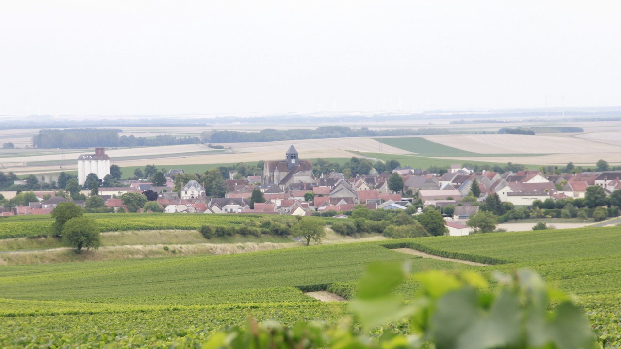 Photo of Others in Barbonne-Fayel