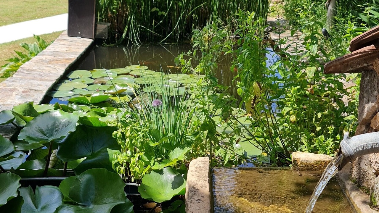 Photo of Outdoor in Planzolles