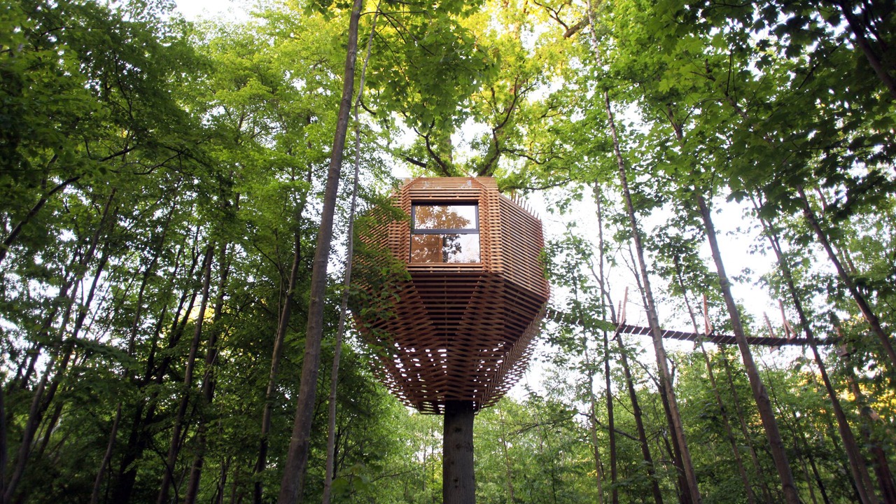 Photo of Outdoor in Raray