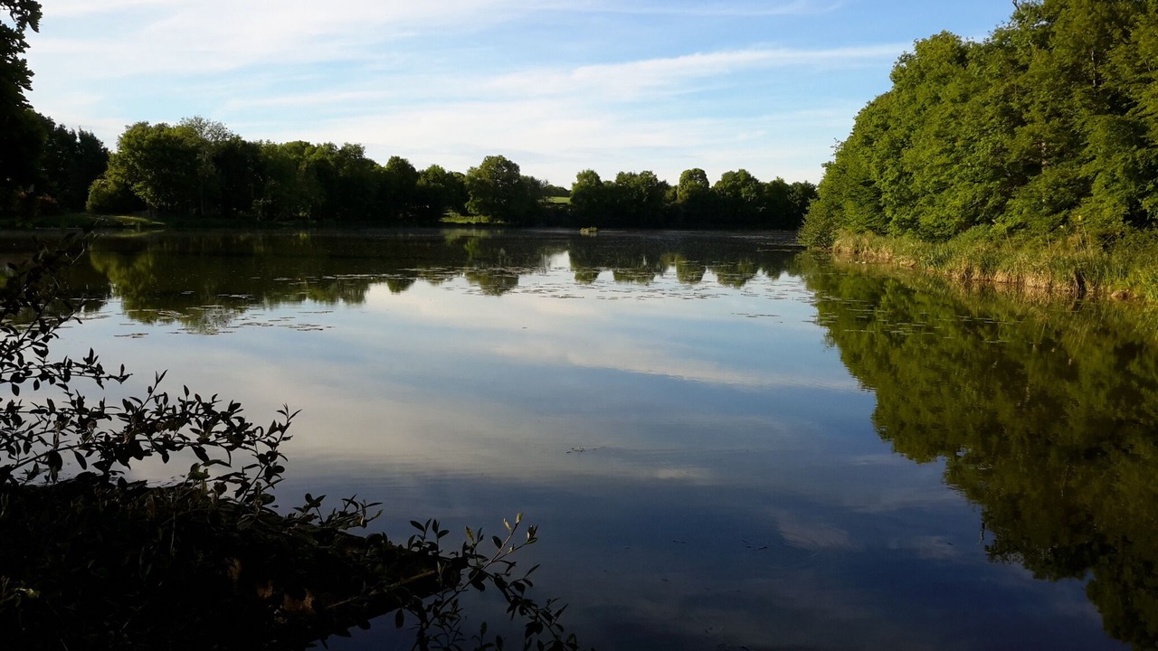 Photo of Outdoor in Bonny-sur-Loire