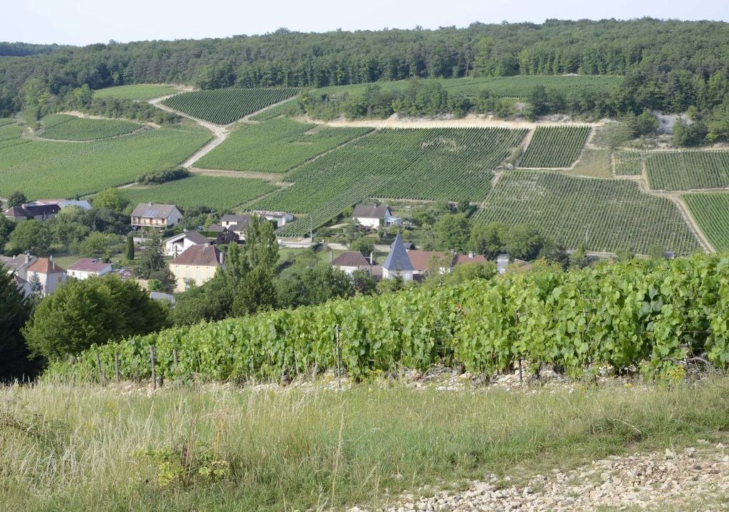 Photo of Outdoor in Couvignon