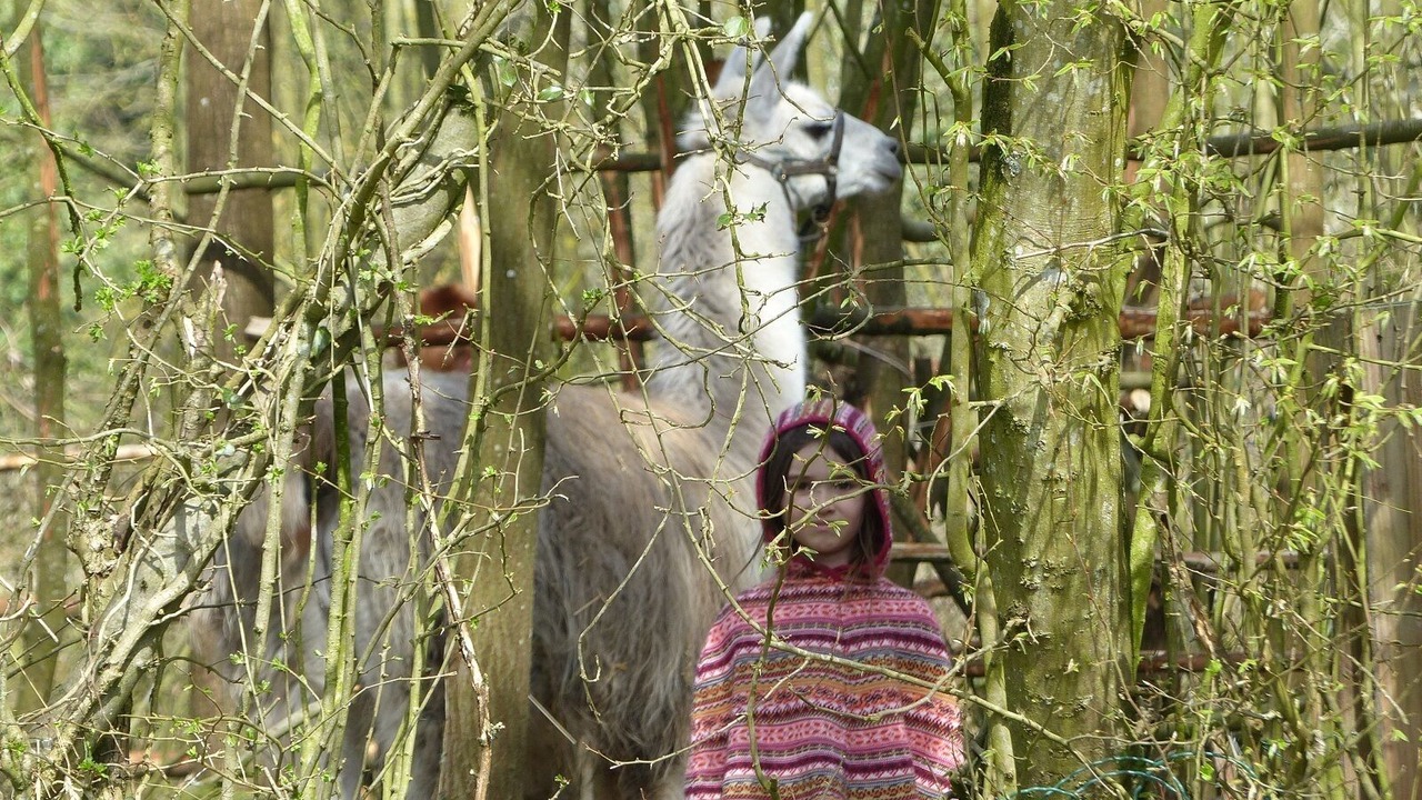 Photo of Outdoor in Canaples