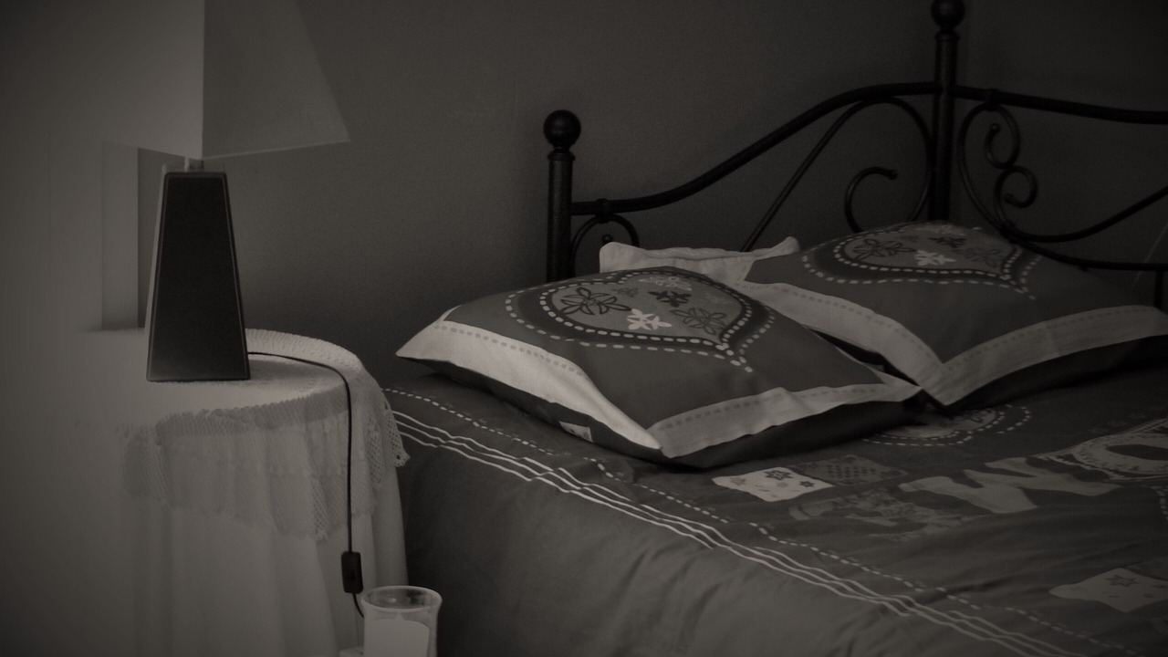 Photo of Bedroom in Canaples