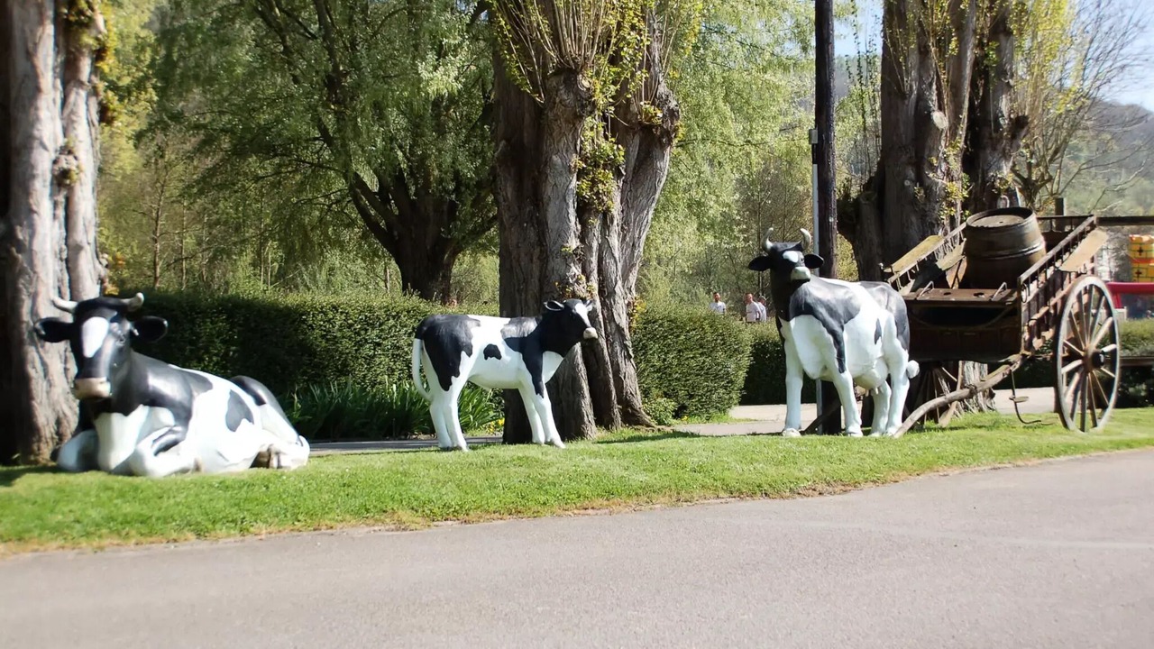 Photo of Others in Les Andelys