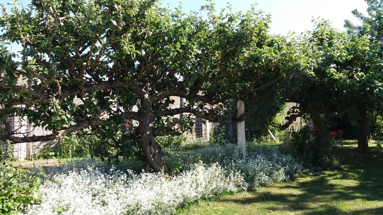 Photo of Outdoor in Fontaine-les-Croisilles