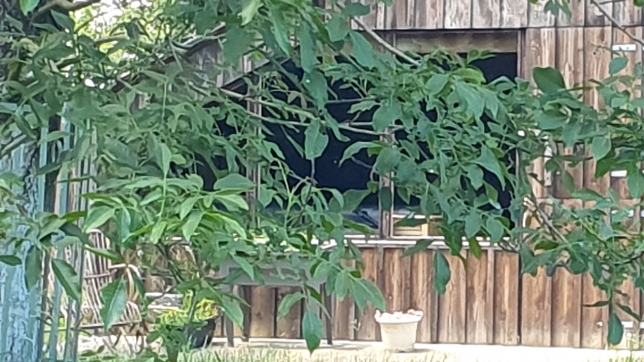 Photo of Outdoor in Les Bottereaux
