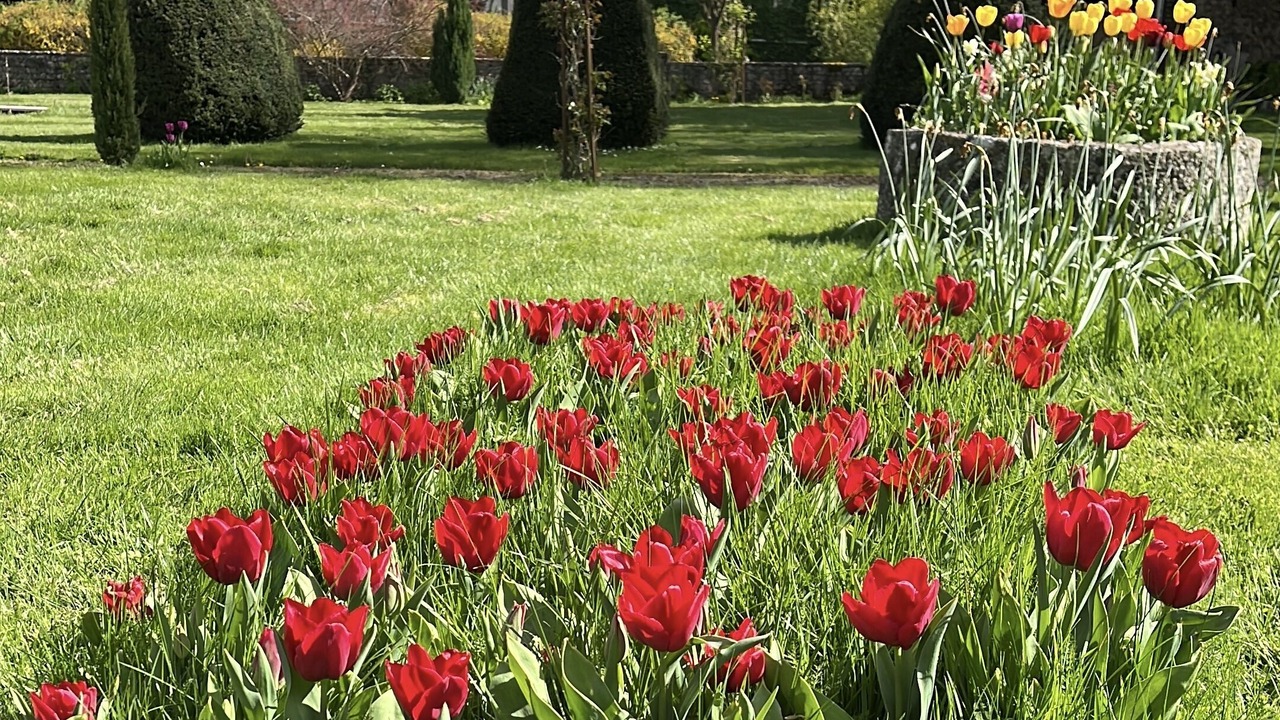 Photo of Outdoor in Saint-Pierre-la-Garenne