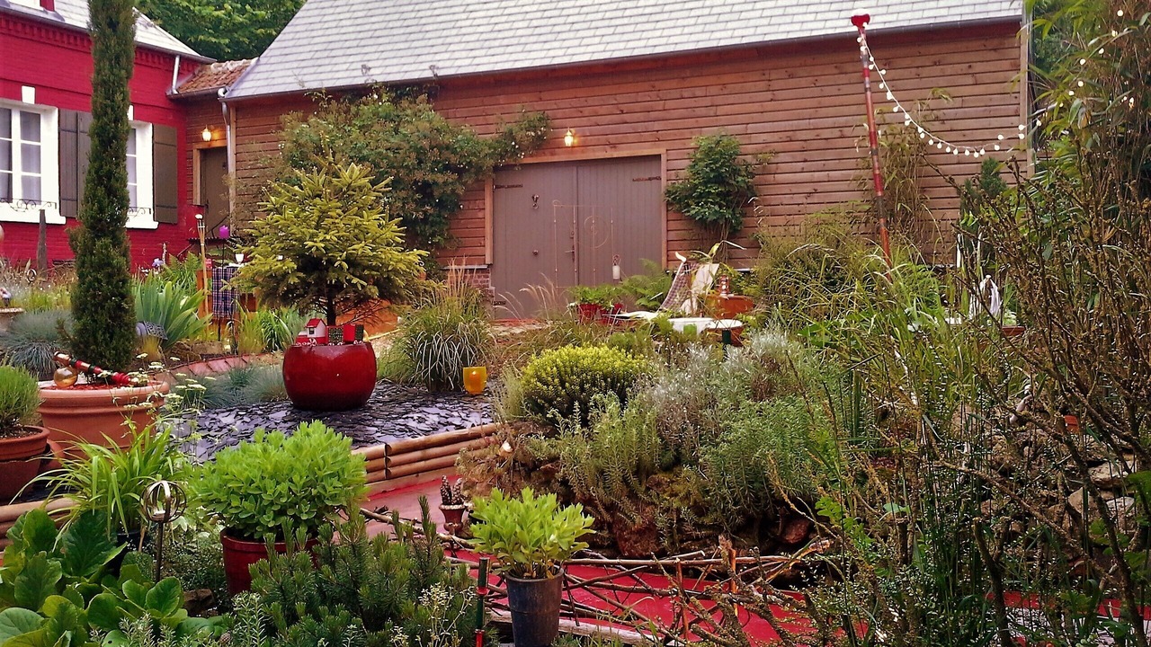 Photo of Outdoor in Muidorge