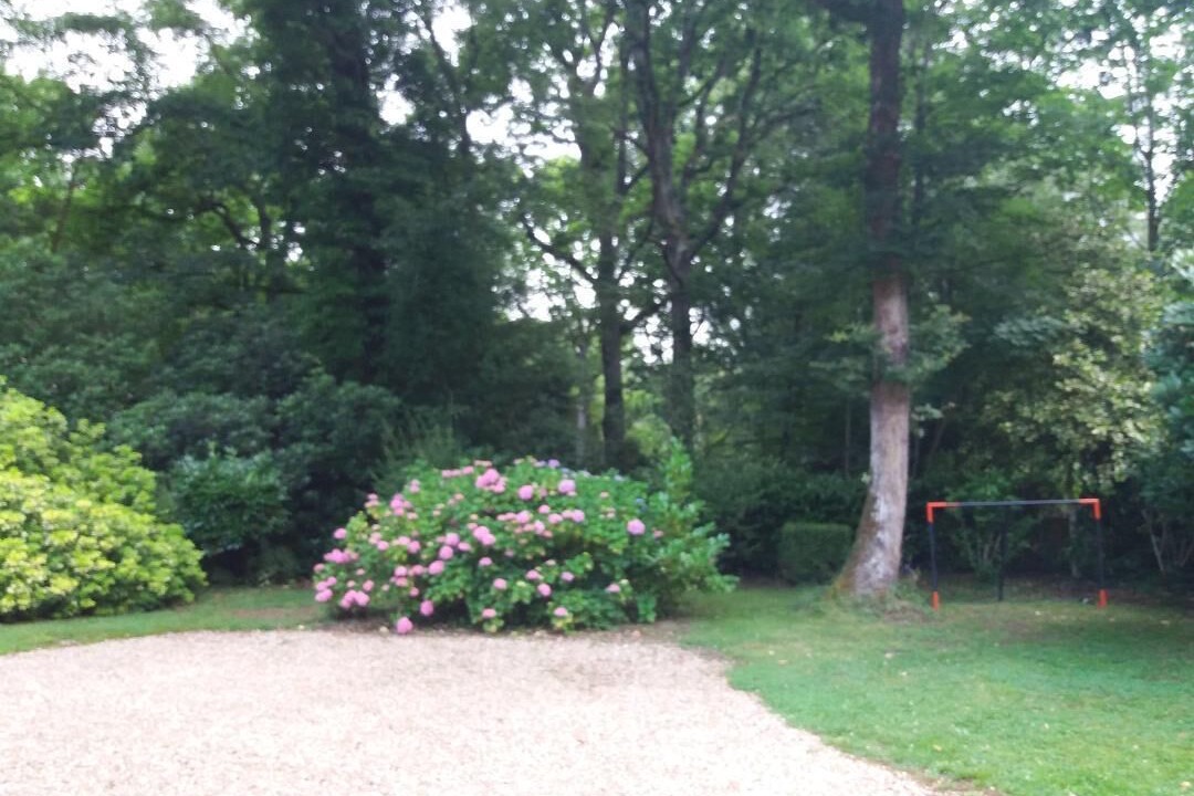 Photo of Outdoor in Saint-Gatien-des-Bois
