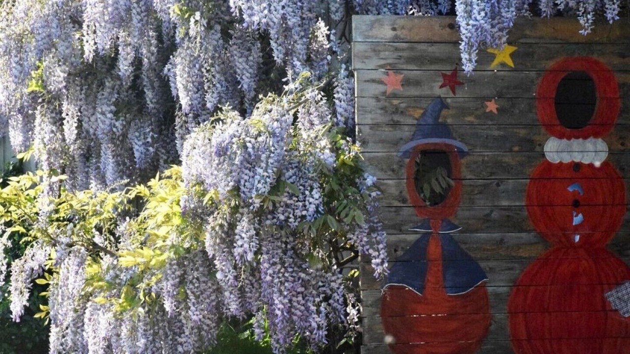 Photo of Outdoor in Fresne-le-Plan