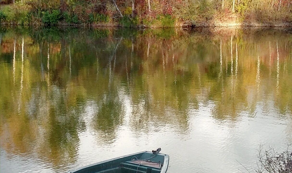 Photo of Outdoor in Saint-Hilaire-sous-Romilly
