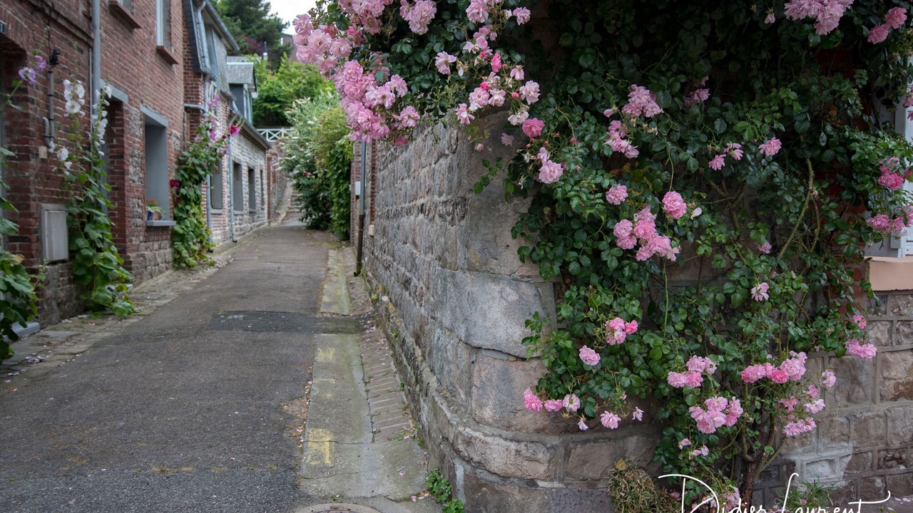 Photo of Outdoor in Veules-les-Roses
