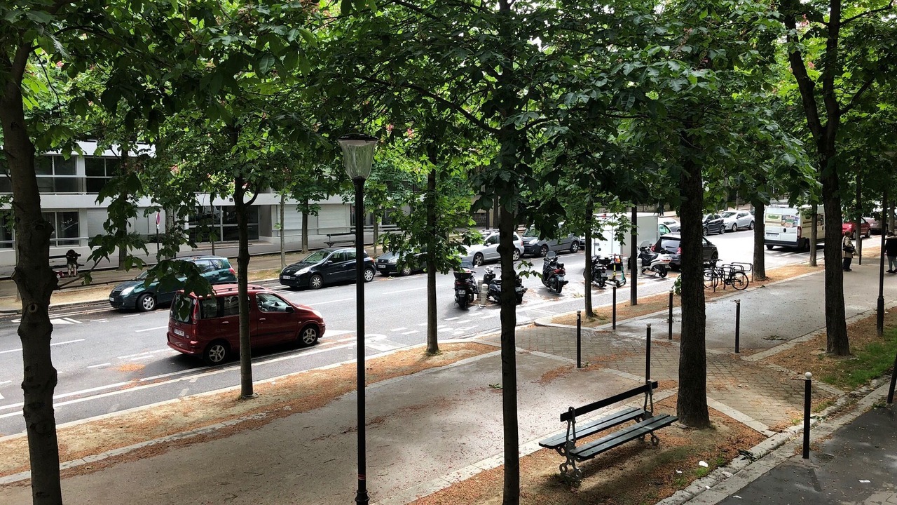 Photo of Others in Croulebarbe