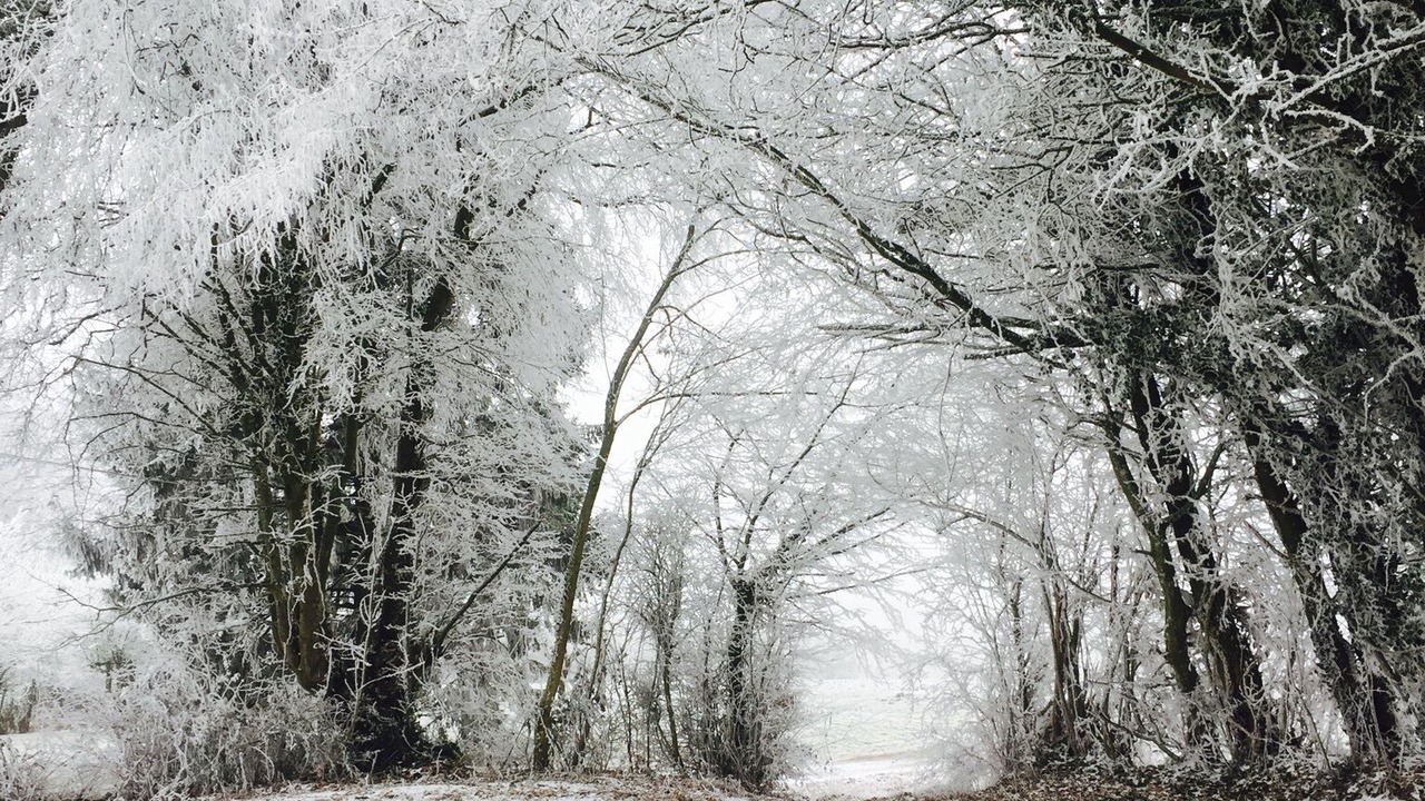 Photo of Outdoor in Les Etilleux