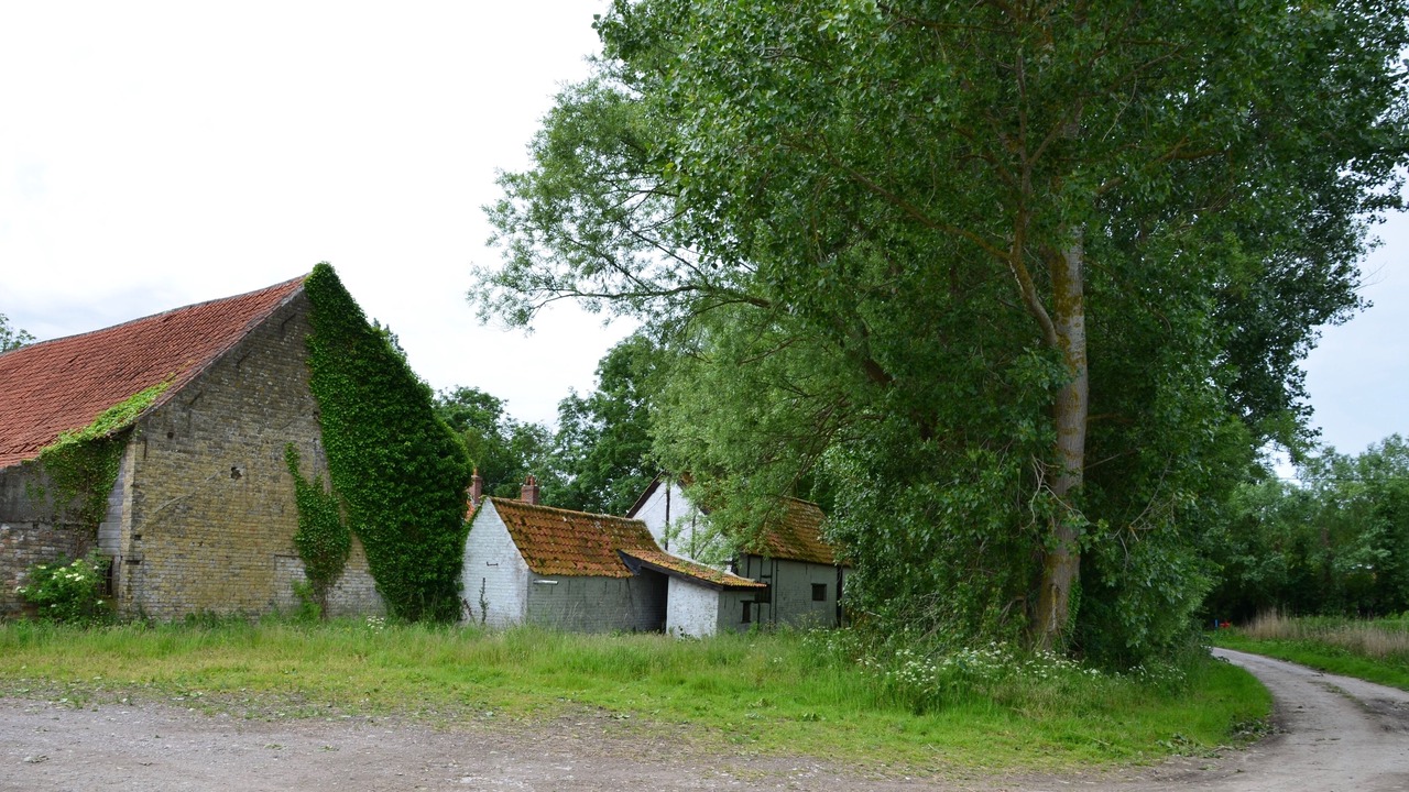 Photo of Outdoor in Oye-Plage