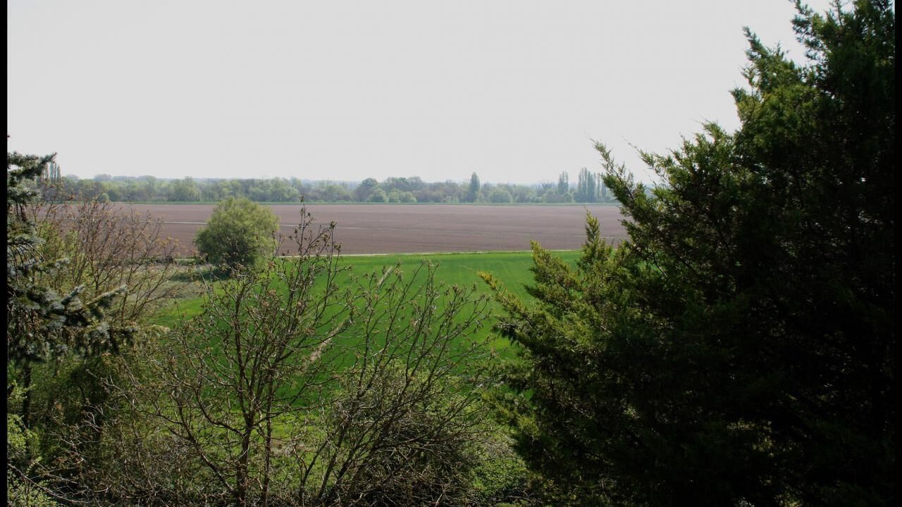 Photo of Outdoor in Baule