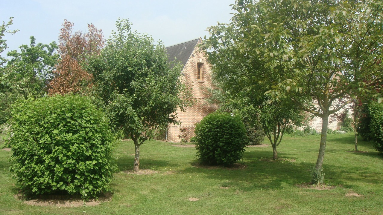 Photo of Outdoor in Nibas
