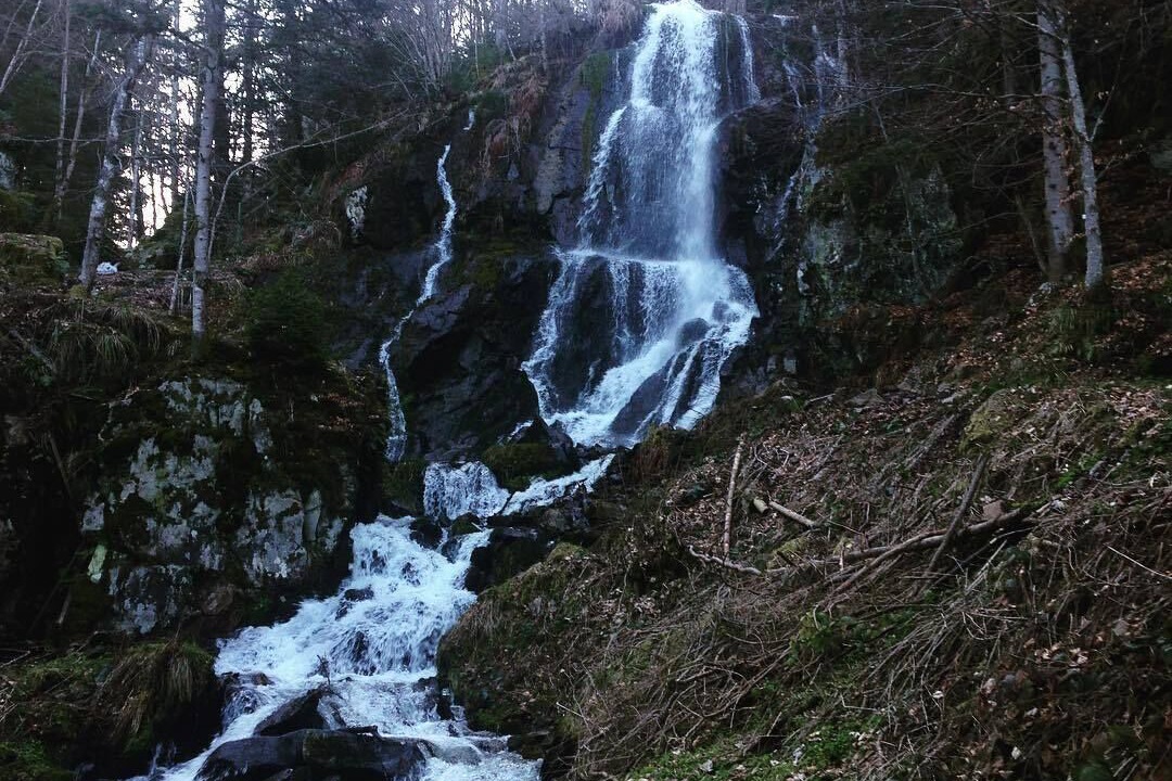 Photo of Outdoor in Le Hohwald