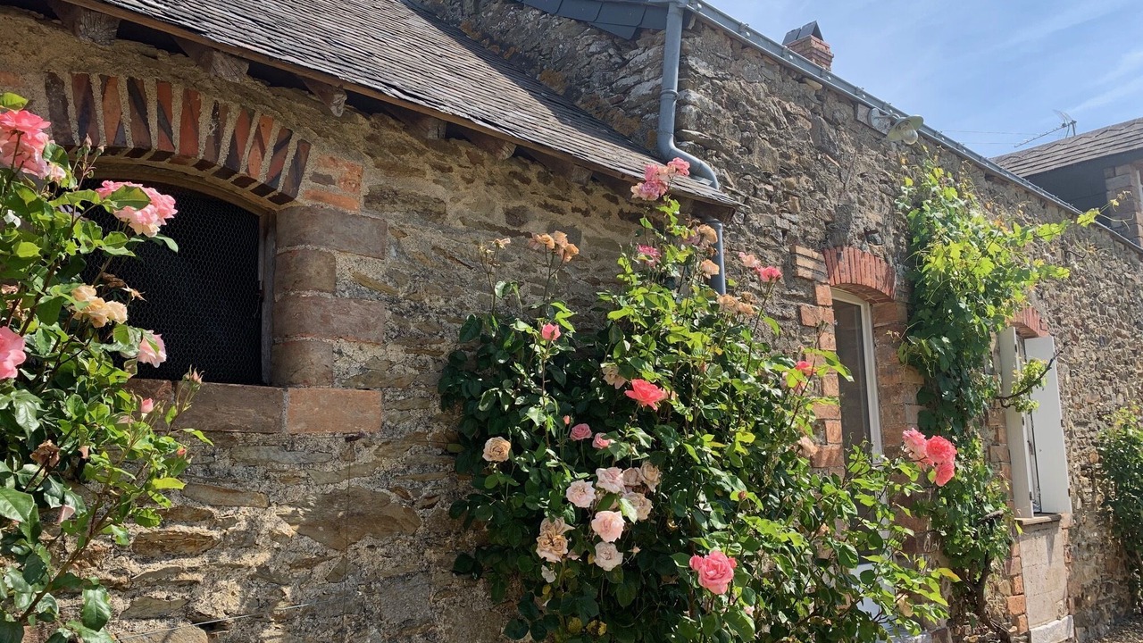 Photo of Outdoor in Longuefuye