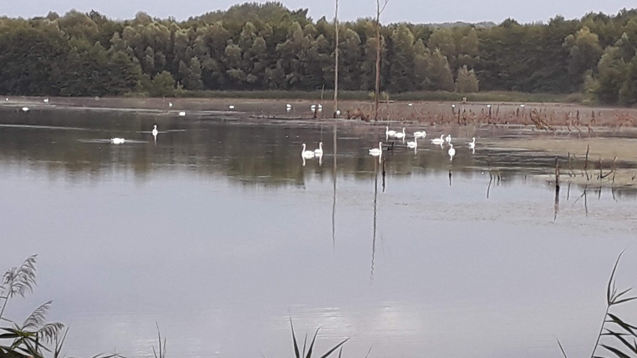Photo of Others in Neuville-sur-Ailette