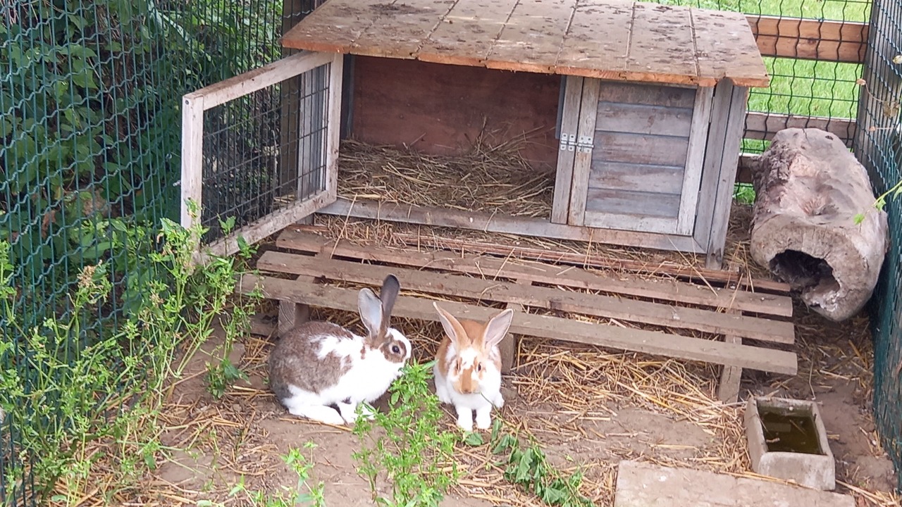 Photo of Outdoor in Neuville-sur-Ailette