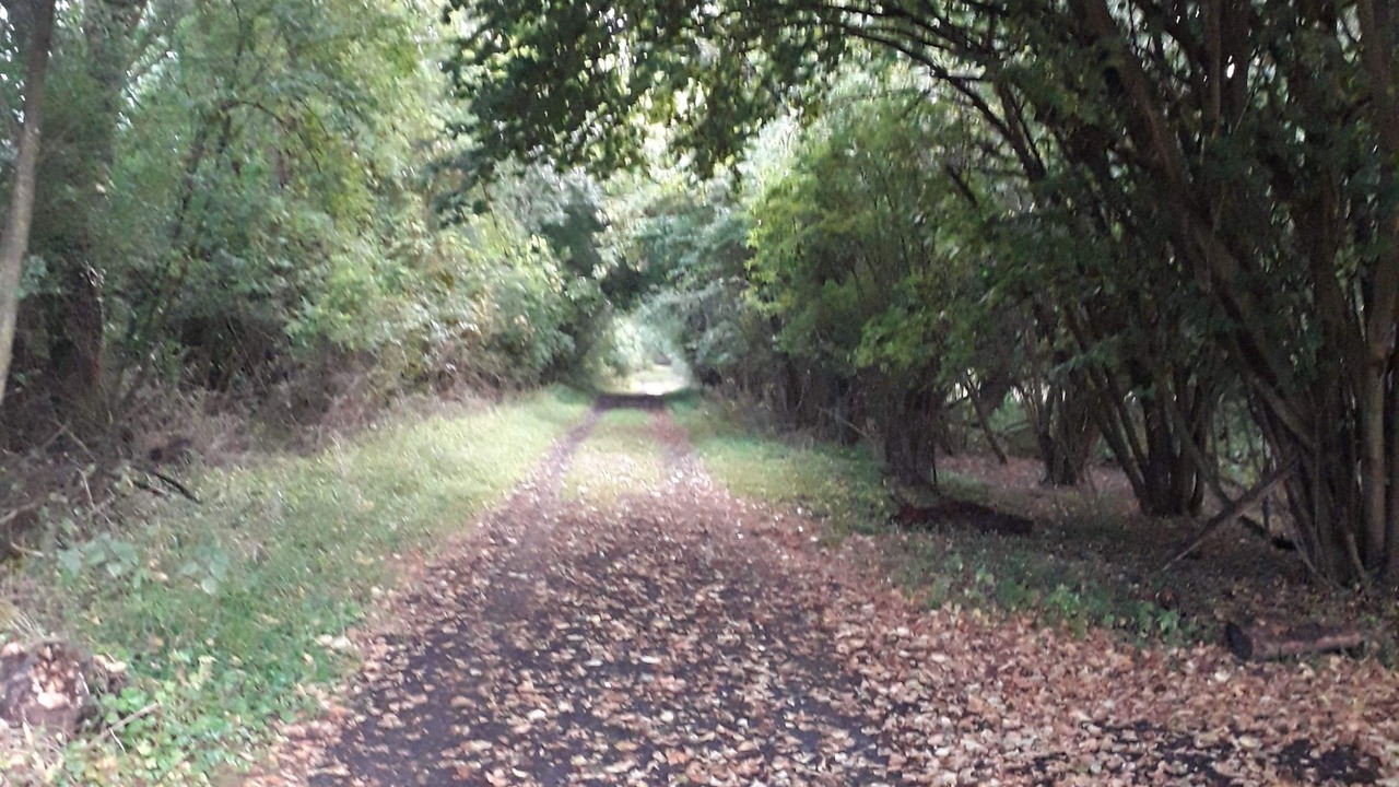 Photo of Outdoor in Neuville-sur-Ailette