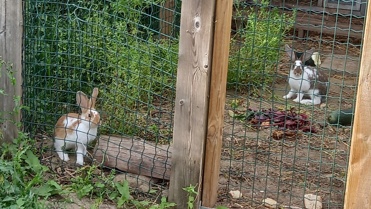Photo of Outdoor in Neuville-sur-Ailette