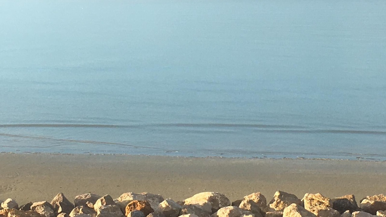 Photo of Others in Le Crotoy