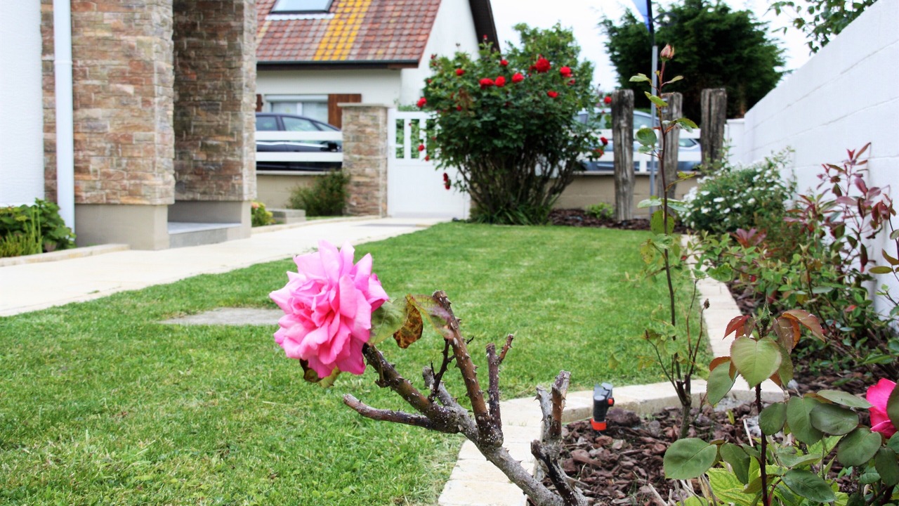 Photo of Outdoor in Bleriot-Plage