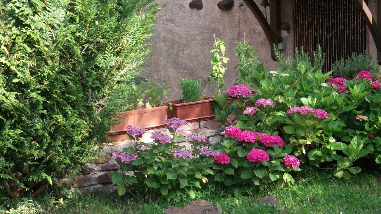 Photo of Outdoor in Treigny