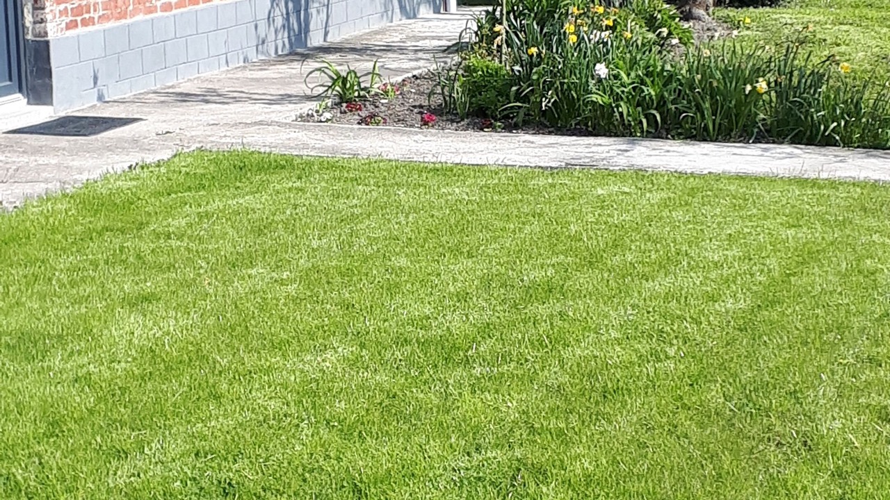Photo of Outdoor in Escuilles