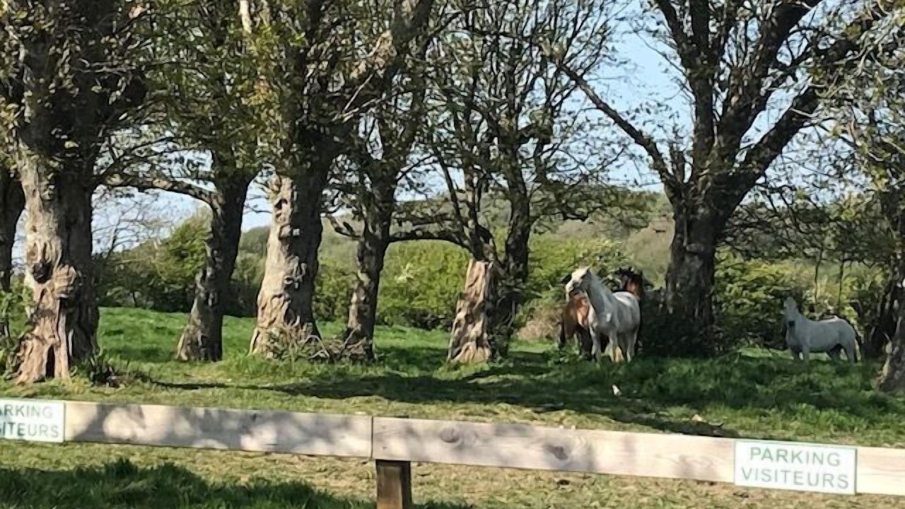 Photo of Outdoor in Audinghen
