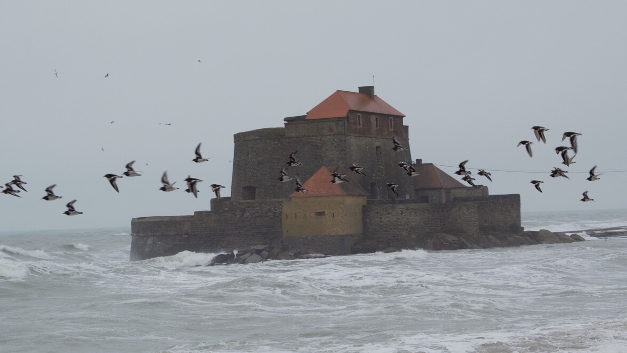 Photo of Outdoor in Ferques