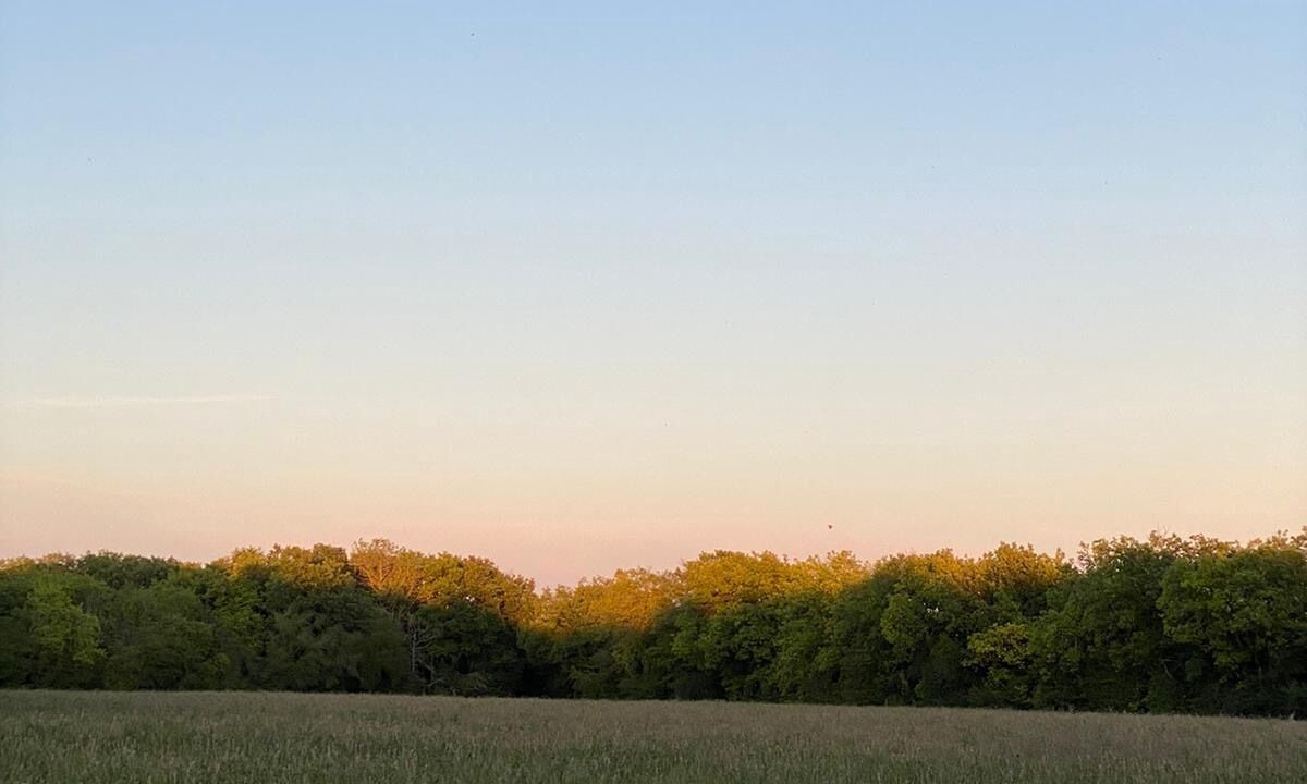 Photo of Outdoor in Morigny-Champigny