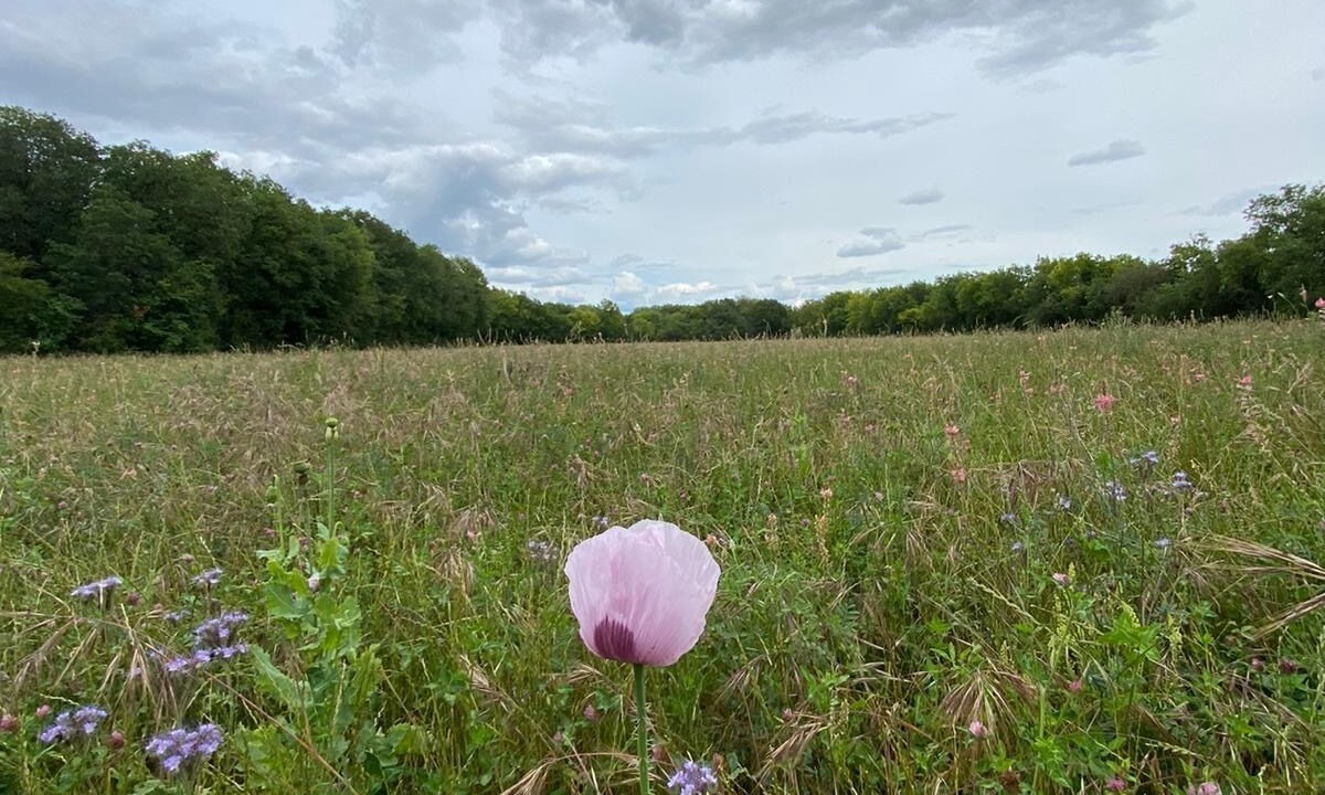 Photo of Outdoor in Morigny-Champigny